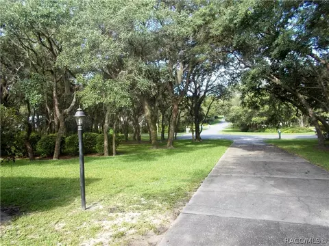 1309 N Abalone Ter, Hernando, FL 34442 photo 18
