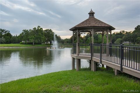 1671 N Foxboro Loop, Crystal River, FL 34429 photo 42