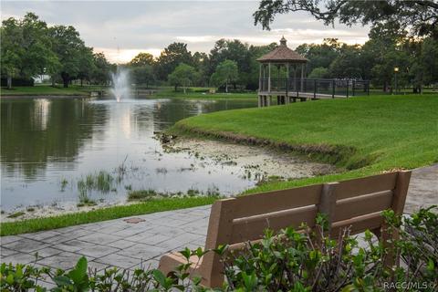 1671 N Foxboro Loop, Crystal River, FL 34429 photo 43