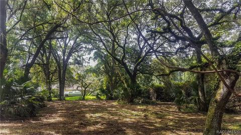 8255 E Fairway Loop, Inverness, FL 34450 photo 6