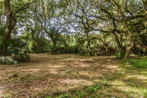 8255 E Fairway Loop, Inverness, FL 34450 photo 5