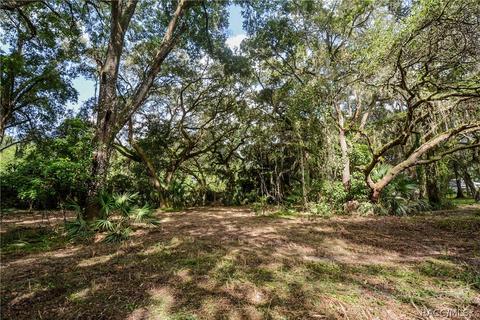 8255 E Fairway Loop, Inverness, FL 34450 photo 3