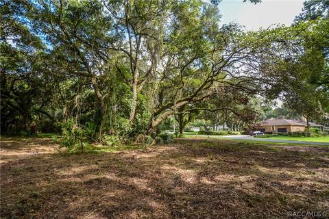8255 E Fairway Loop, Inverness, FL 34450 photo 4
