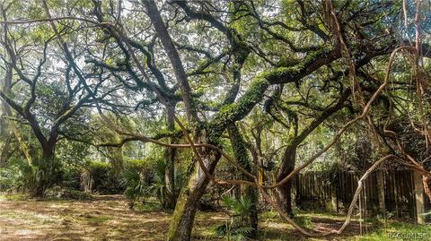 8255 E Fairway Loop, Inverness, FL 34450 photo 7