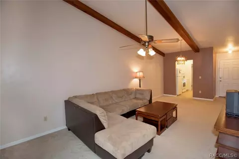 401 E Hartford St #8A, Hernando, FL 34442 photo 11