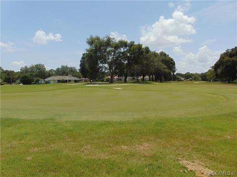 174 Eureka Ct, Hernando, FL 34442 photo 22