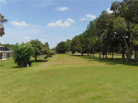 174 Eureka Ct, Hernando, FL 34442 photo 23