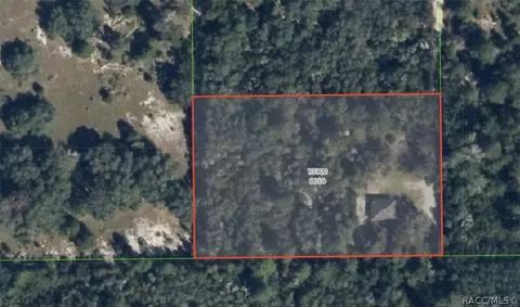 4630 E Posselt Dr, Hernando, FL 34442 photo 37