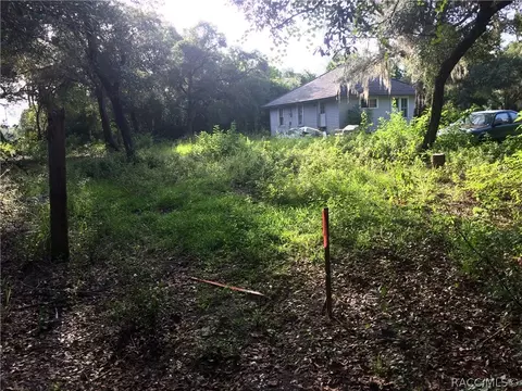 4630 E Posselt Dr, Hernando, FL 34442 photo 30