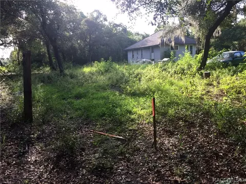 4630 E Posselt Dr, Hernando, FL 34442 photo 29