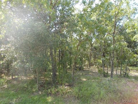 1574 E St James Loop, Inverness, FL 34442 photo 4