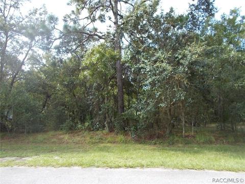 1574 E St James Loop, Inverness, FL 34442 photo 1