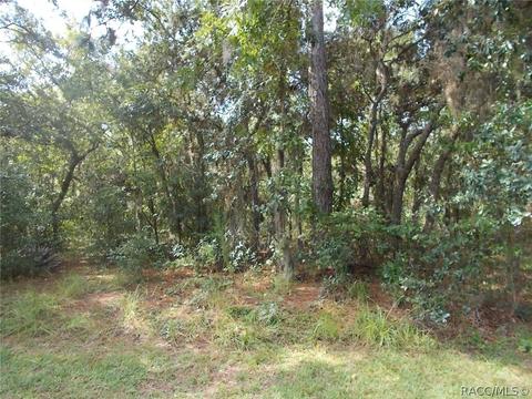 1574 E St James Loop, Inverness, FL 34442 photo 2