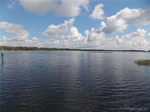 2557 N Bucknell Ter, Hernando, FL 34442 photo 46