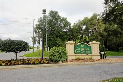 3602 N Chandler Dr, Hernando, FL 34442 photo 35