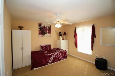 3602 N Chandler Dr, Hernando, FL 34442 photo 18
