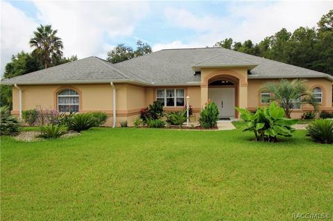 3602 N Chandler Dr, Hernando, FL 34442 photo 1