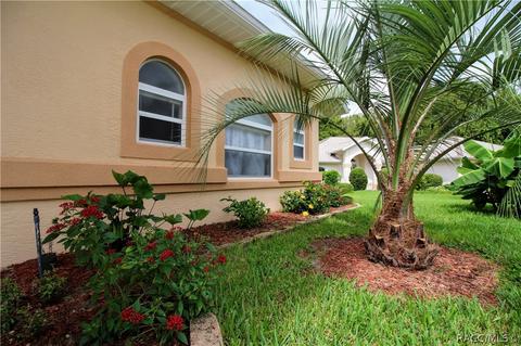 3602 N Chandler Dr, Hernando, FL 34442 photo 28