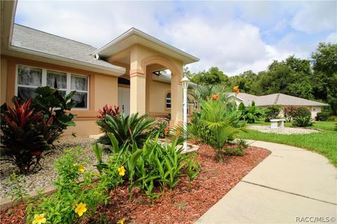 3602 N Chandler Dr, Hernando, FL 34442 photo 36