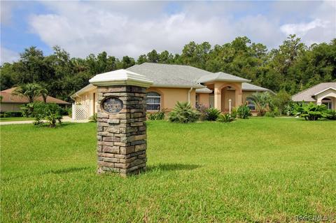3602 N Chandler Dr, Hernando, FL 34442 photo 25