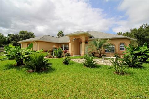 3602 N Chandler Dr, Hernando, FL 34442 photo 26