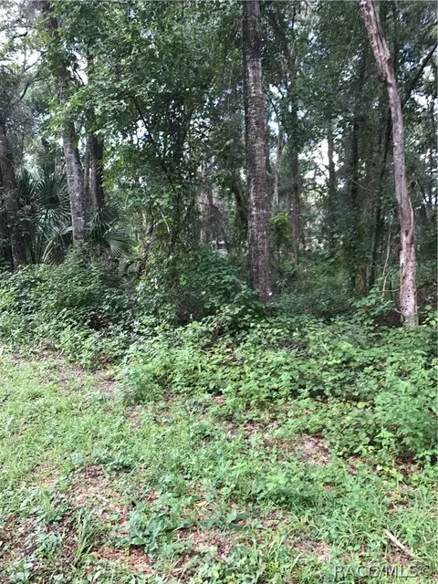 4972 N Dewey Way, Hernando, FL 34442 photo 3