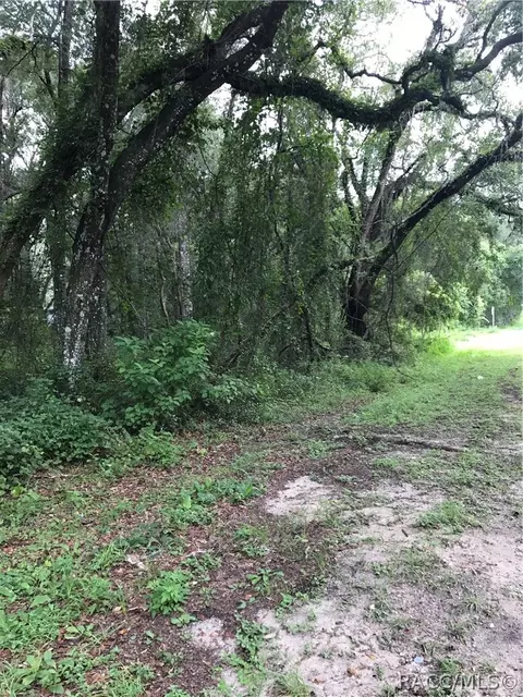 4972 N Dewey Way, Hernando, FL 34442 photo 2