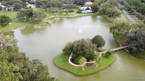 6227 W Glynborne Loop, Crystal River, FL 34429 photo 25