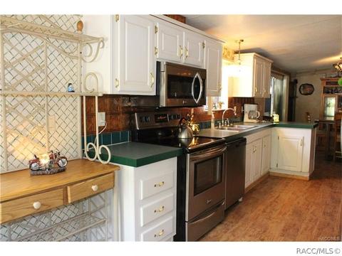 5279 N Redwood Ave, Hernando, FL 34442 photo 5