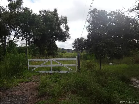 4320 E Gloria Dr, Hernando, FL 34442 photo 9