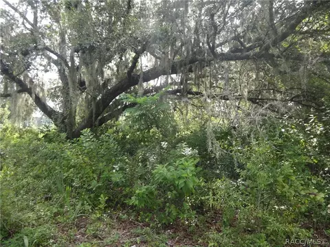 4320 E Gloria Dr, Hernando, FL 34442 photo 4
