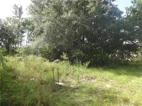 4320 E Gloria Dr, Hernando, FL 34442 photo 7