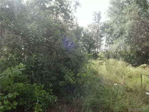 4320 E Gloria Dr, Hernando, FL 34442 photo 6