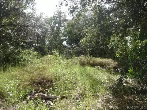 4320 E Gloria Dr, Hernando, FL 34442 photo 8