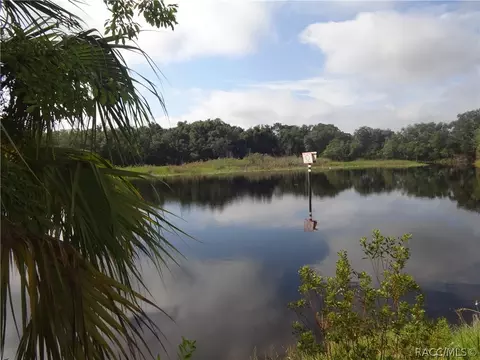 4320 E Gloria Dr, Hernando, FL 34442 photo 2