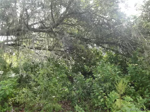 4320 E Gloria Dr, Hernando, FL 34442 photo 5