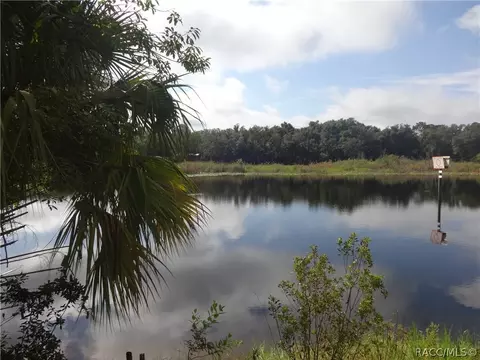 4320 E Gloria Dr, Hernando, FL 34442 photo 1