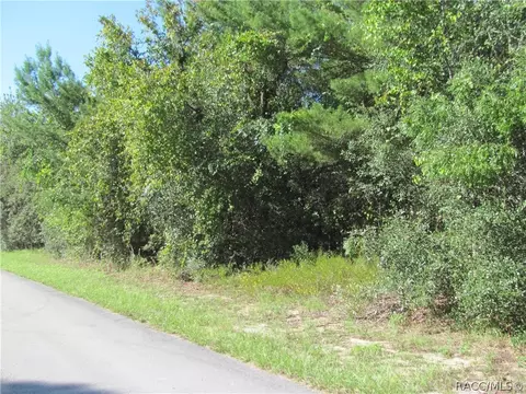 1814 E Cleveland St, Hernando, FL 34442 photo 5