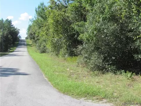 1814 E Cleveland St, Hernando, FL 34442 photo 1