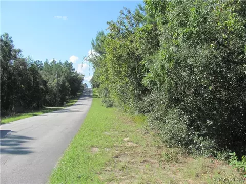 1814 E Cleveland St, Hernando, FL 34442 photo 4
