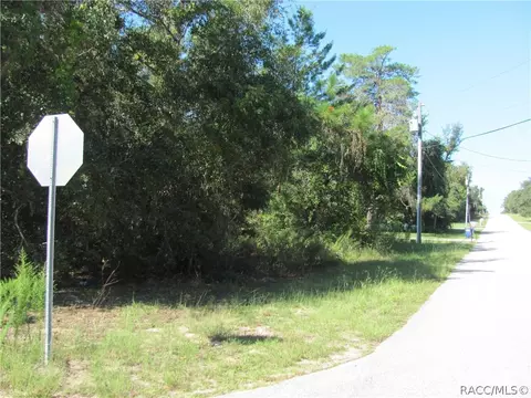 1814 E Cleveland St, Hernando, FL 34442 photo 2