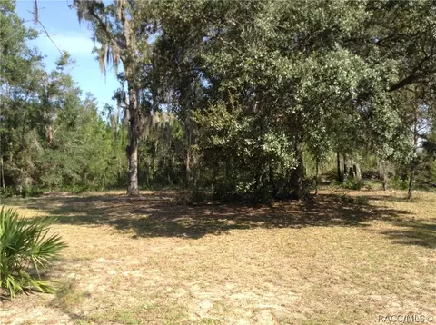 3131 E Oakton St, Hernando, FL 34442 photo 17
