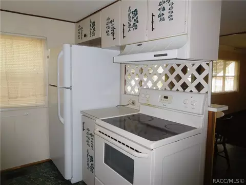 3490 E Buffalo Ln, Hernando, FL 34442 photo 4
