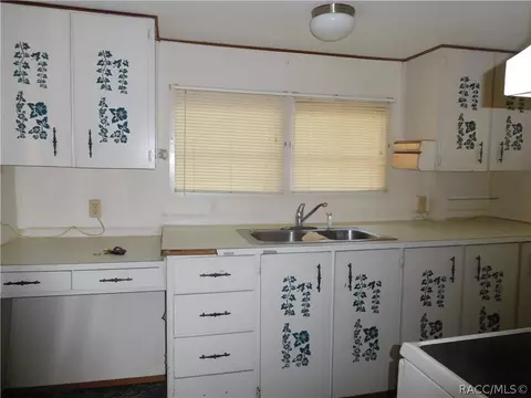 3490 E Buffalo Ln, Hernando, FL 34442 photo 5