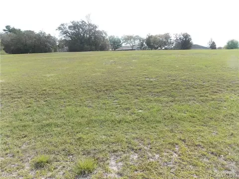 3209 N Boise Pt, Hernando, FL 34442 photo 3