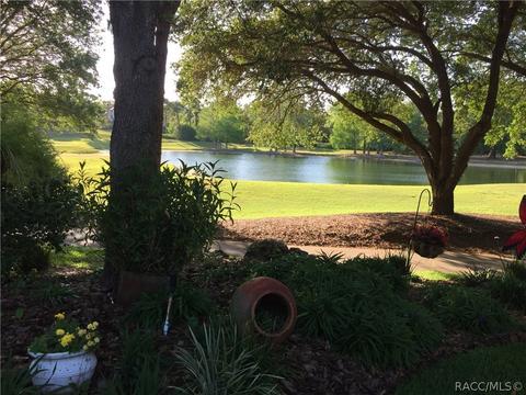 3240 N Caves Valley Path, Lecanto, FL 34461 photo 50