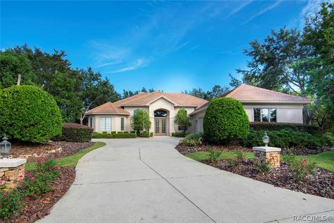 3240 N Caves Valley Path, Lecanto, FL 34461 photo 44
