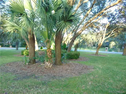 1656 N Abalone Ter, Hernando, FL 34442 photo 18