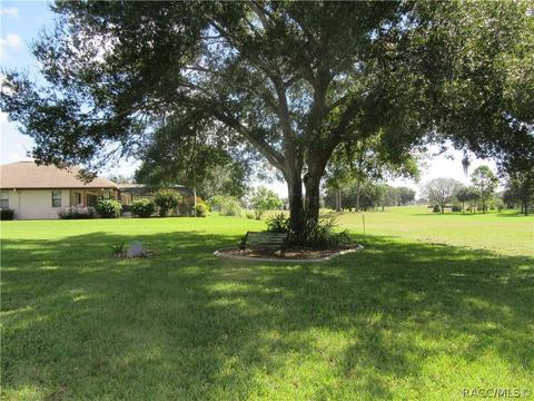 700 E Dakota Ct, Hernando, FL 34442 photo 28