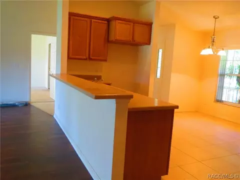 4420 E Shorewood Dr, Hernando, FL 34442 photo 10